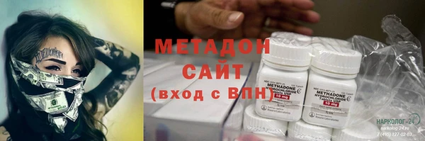 шишки Белокуриха