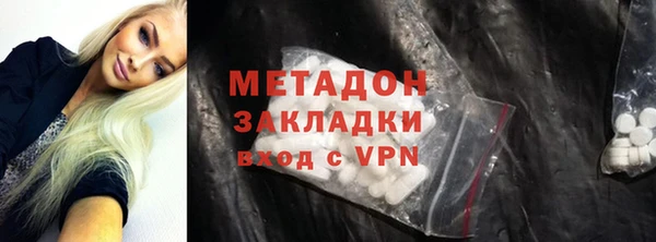 шишки Белокуриха