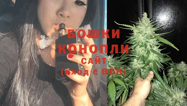 ГАЛЛЮЦИНОГЕННЫЕ ГРИБЫ Беломорск
