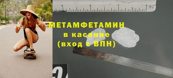 шишки Белокуриха