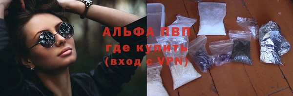шишки Белокуриха
