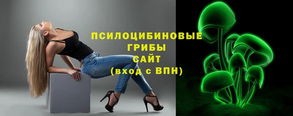 шишки Белокуриха