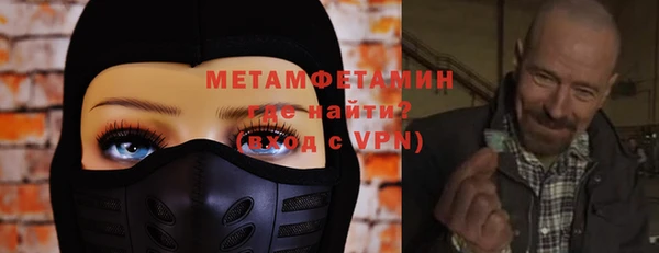 шишки Белокуриха
