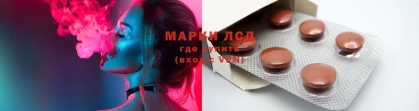 шишки Белокуриха