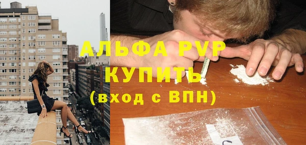 ГАЛЛЮЦИНОГЕННЫЕ ГРИБЫ Беломорск