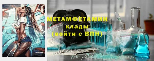 шишки Белокуриха