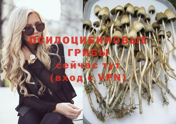 ГАЛЛЮЦИНОГЕННЫЕ ГРИБЫ Беломорск