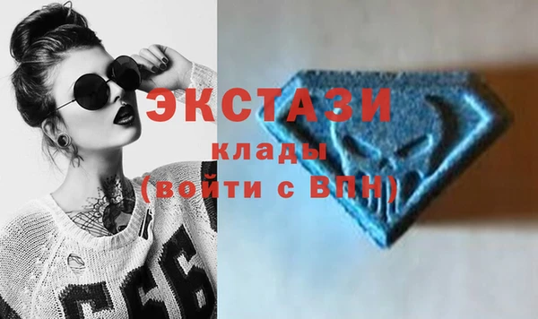 шишки Белокуриха