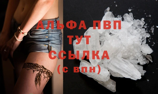 шишки Белокуриха