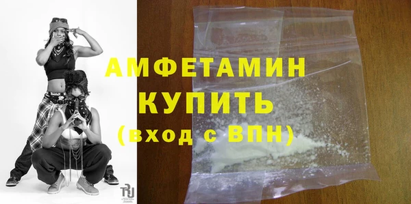 шишки Белокуриха