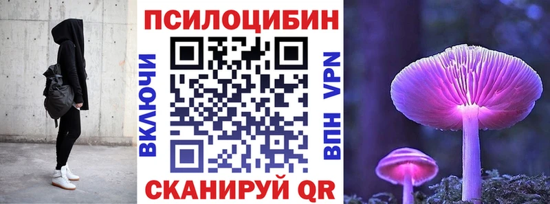 kraken ссылки  Нижнекамск  Галлюциногенные грибы Psilocybe 